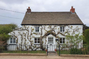 Vine Cottage